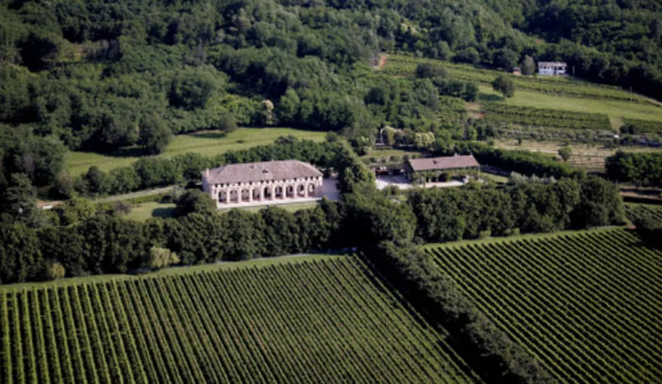 Wijngaarden in Veneto. DOC is een Italiaanse traditionele aanduiding binnen de Europese beschermde oorsprongsbenamingen.