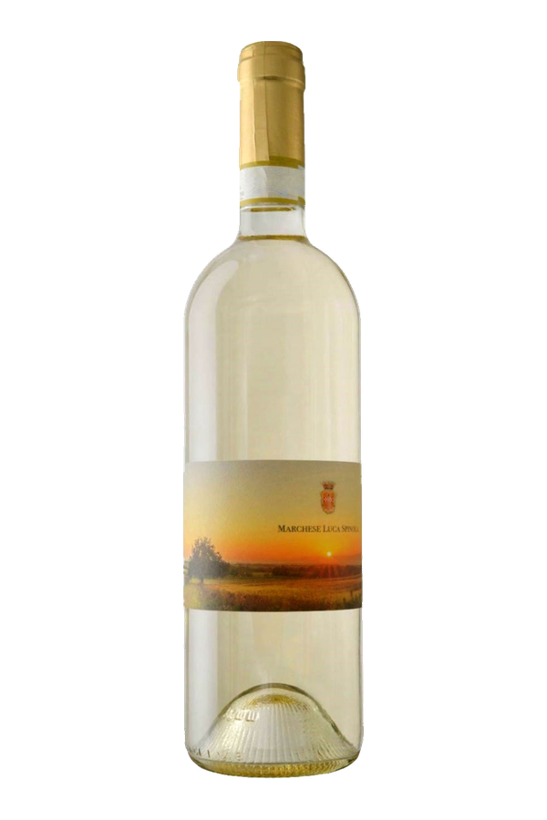 Gavi di Tassarolo DOCG 2024 · Marchese Luca Spinola · alleen de fles, transparante achtergrond