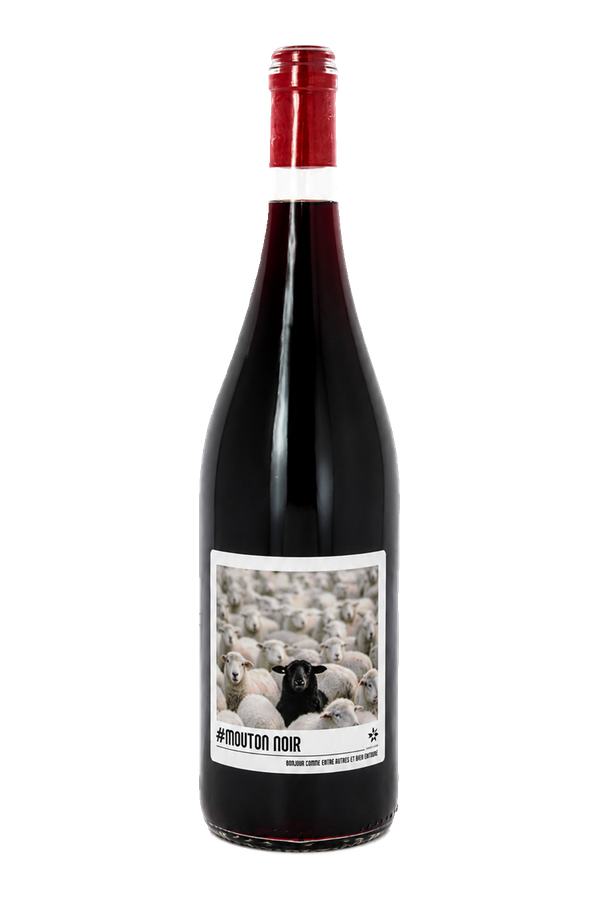 Mouton Noir Rouge IGP Alpes-de-Haute-Provence 2025 · vrijstaande fles met transparante achtergrond